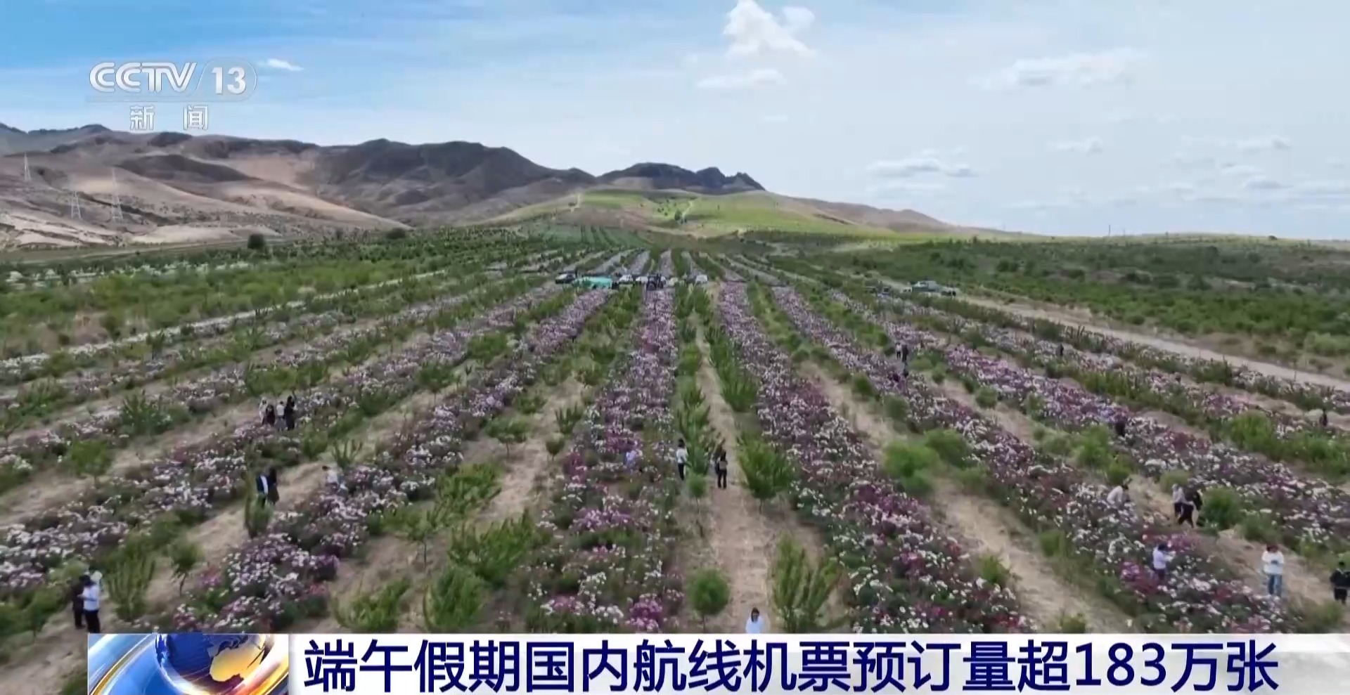端午假期国内机票预订量超180万张 民俗游持续升温 https://www.nmgsb.com.cn/uploads/other/20260611/W020260611602439461983_ORIGIN.jpg