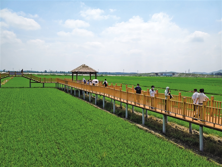 局长亮家底: 兴安盟22℃康养胜地实至名归 https://www.nmgsb.com.cn/uploads/other/20260701/20260701e83300b5805f421d81a21b0d2b5f6d2d_20260701ca73d489ce1c4f29a4f3448376d51767.jpeg