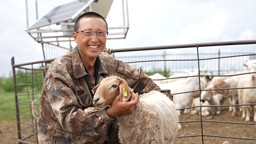 呼伦贝尔:百万耳标赋智草原 一羊一码富民兴牧 https://www.nmgsb.com.cn/uploads/other/20260717/20260717c41d2b5dfc124e74816c5ae5f3dff407_43bab2cc2b7a46779bb6f8148f7831fb.jpg