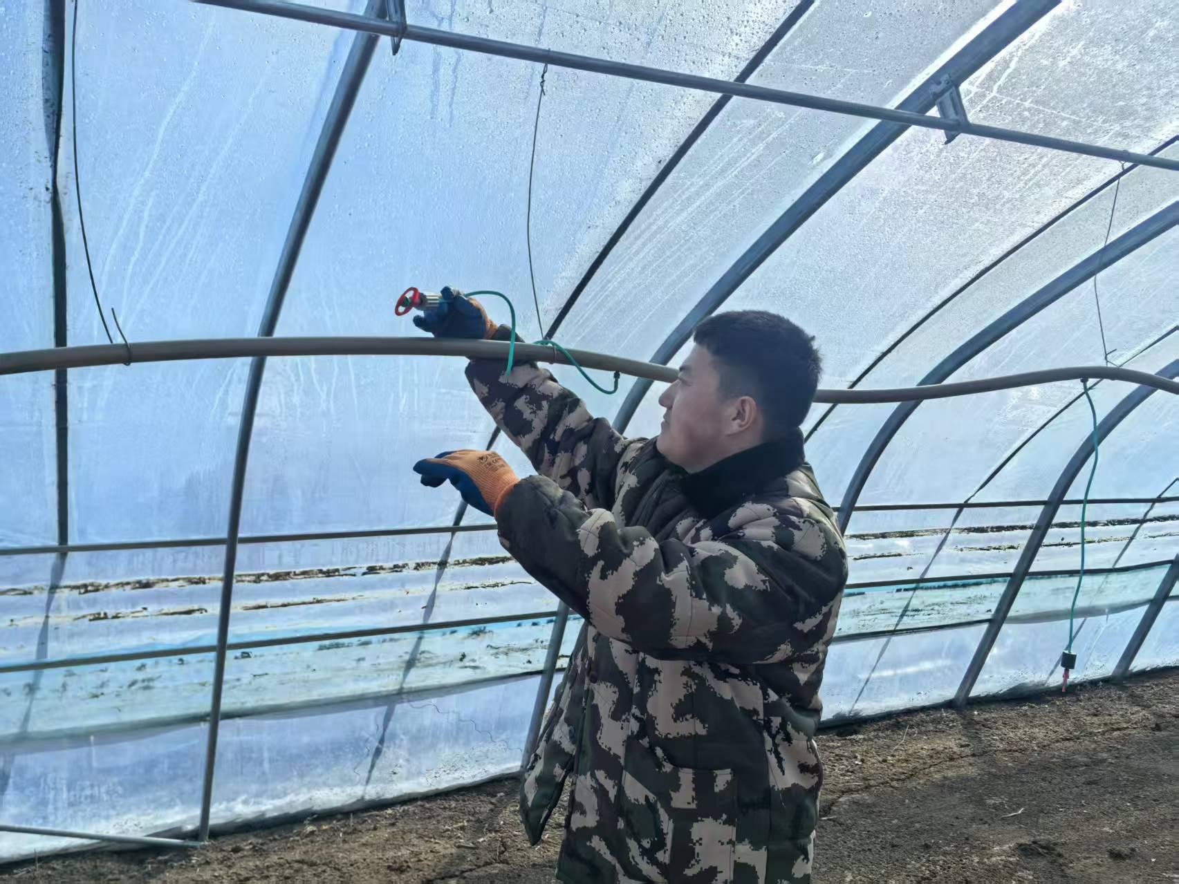 寒地生金 兴安盟的“春天革命” https://www.nmgsb.com.cn/uploads/other/20260720/20260720d5eb2739289a480898af9fbfffdf814a_20260720266afe05ad7b49f898705b69b170b48e.jpeg