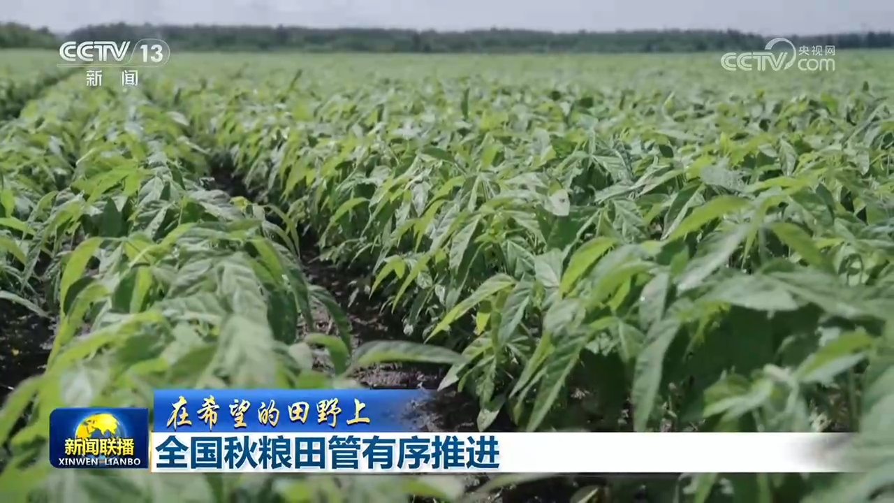 https://www.nmgsb.com.cn/uploads/other/20260727/W020260727563352134632_ORIGIN.jpg