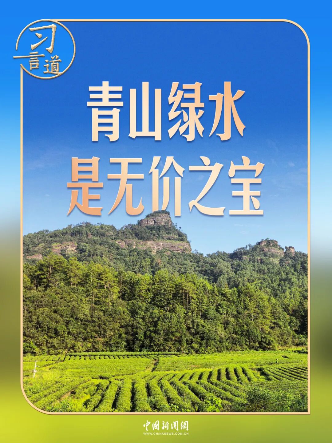 习言道|走进茶园,习近平强调做好这篇“大文章” 习言道|走进茶园,习近平强调做好这篇“大文章”