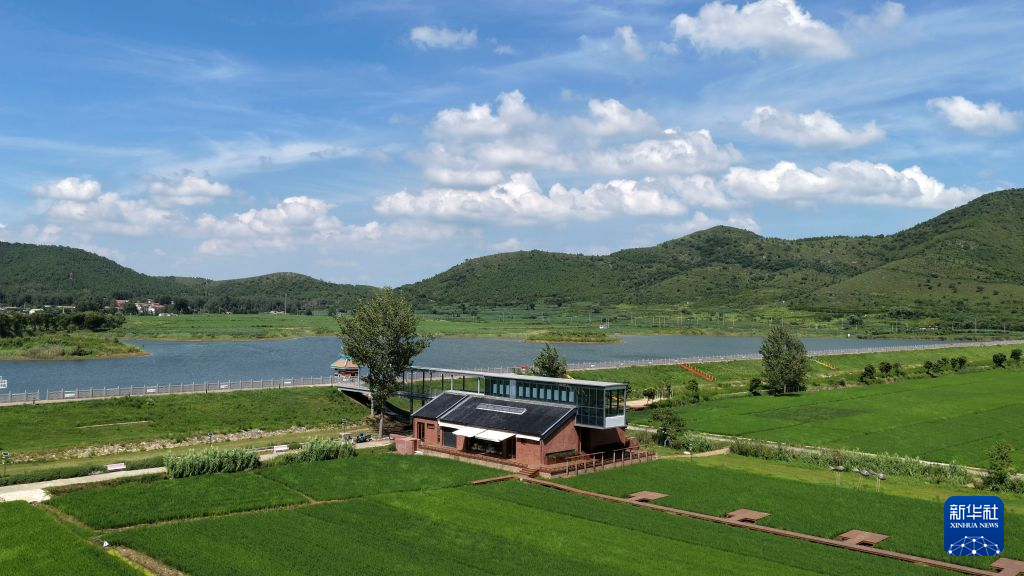 稻田图书馆激活乡村消费新场景 https://www.nmgsb.com.cn/uploads/other/20260801/W020260801573334079327_ORIGIN.png