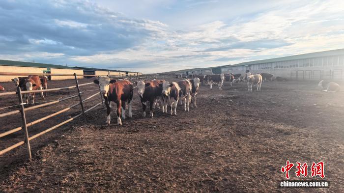 https://www.nmgsb.com.cn/uploads/other/20260805/2026080520ad415c5fda479999b21fcc6e4dea9c_20260805aa3a2142765740a38d4a813a78f9b4bf.jpeg