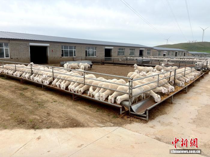 https://www.nmgsb.com.cn/uploads/other/20260805/202608054ca6d92c6cb94f4eb887e11129c1a5d5_2026080530b2232e7ad24d90931ca1146f2bb2d2.jpeg