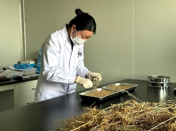 呼和浩特:筑牢市民呼吸健康防护网 https://www.nmgsb.com.cn/uploads/other/20260822/202608224e46f6186eb2487d985ed7bb9f6bea5f_202608212610c190763642528791bb34df1ef86e.jpeg