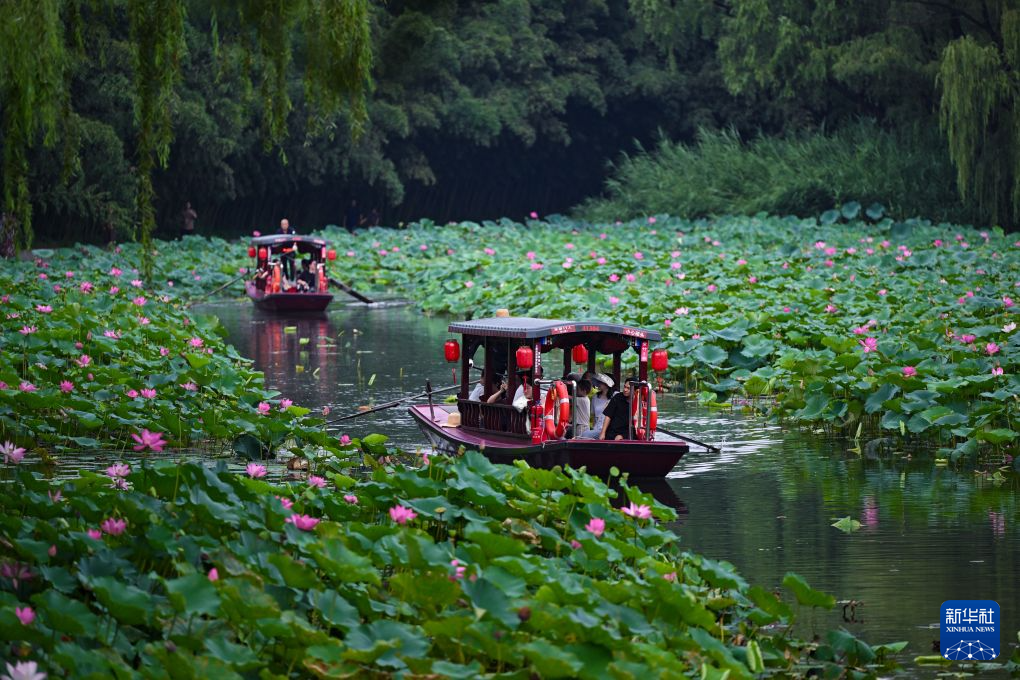夏荷秋韵 https://www.nmgsb.com.cn/uploads/other/20260823/W020260823552853592001_ORIGIN.png