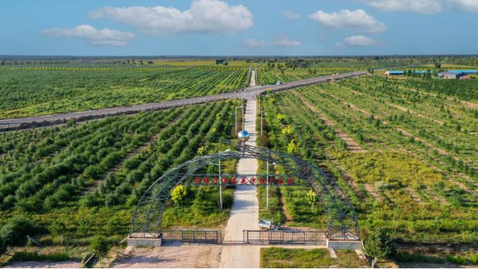 敖汉旗:深耕特色产业 绘就生态富民双赢画卷 https://www.nmgsb.com.cn/uploads/other/20260831/2026083171c9fa9916d04fe78ea47aeb72c7ddb4_202608303f0d852347fe4229984e4ddda80c8c74.png