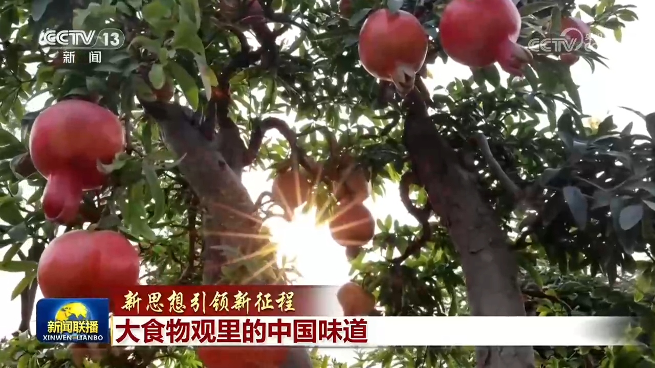 【新思想引领新征程】大食物观里的中国味道 【新思想引领新征程】大食物观里的中国味道