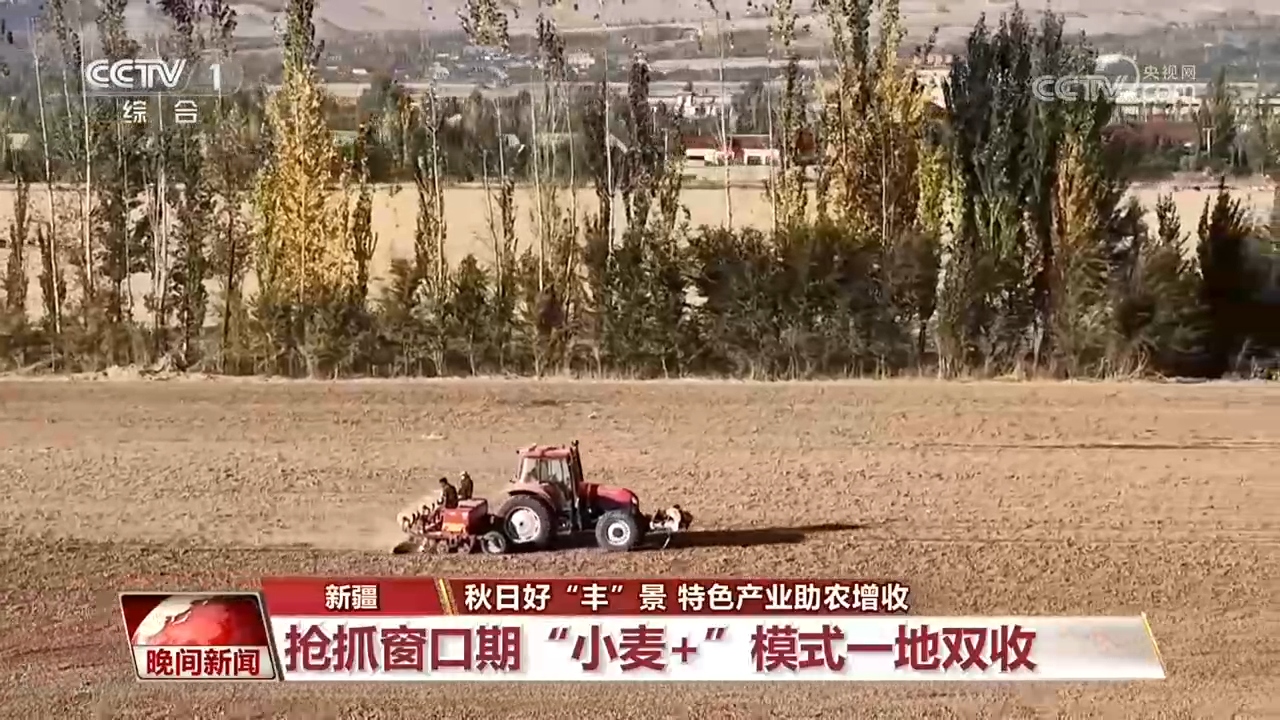 全国秋粮大面积收获进行时!各地特色产业助农增收 https://www.nmgsb.com.cn/uploads/other/20261022/2026102201295421014.jpg